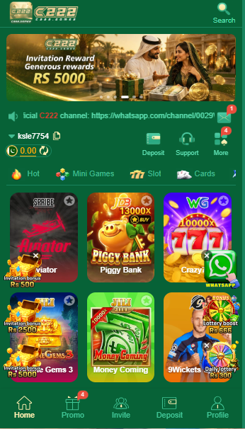 c222 game in pakistan home screen image